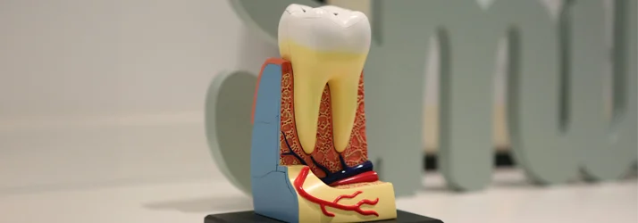 FC – Painless Root Canal Treatment at Lakeside Endodontic Group of Frisco in Frisco TX